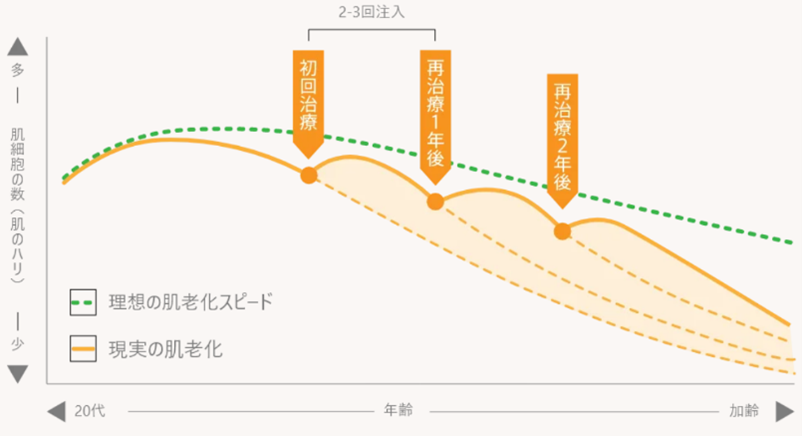 Dermal fibroblast therapy | Bianca Ginza | Japan's leading beauty, health and regenerative medicine clinic