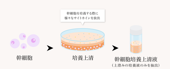 Purified and concentrated stem cell culture supernatant drip | Bianca Ginza | Japan's leading beauty, health and regenerative medicine clinic